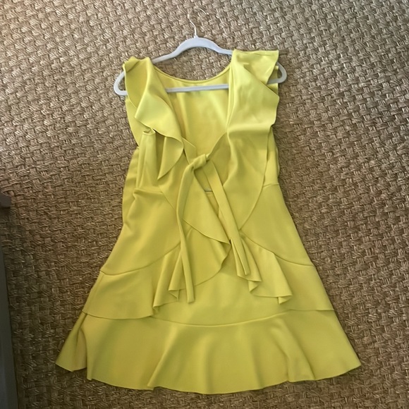 Bright Ruffle Dress - Picture 2 of 2